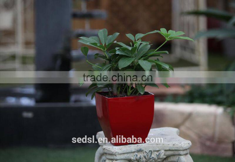 "Alibaba TOP 1 pot supplier" decoration container homes for sale Home gardening plastic pots