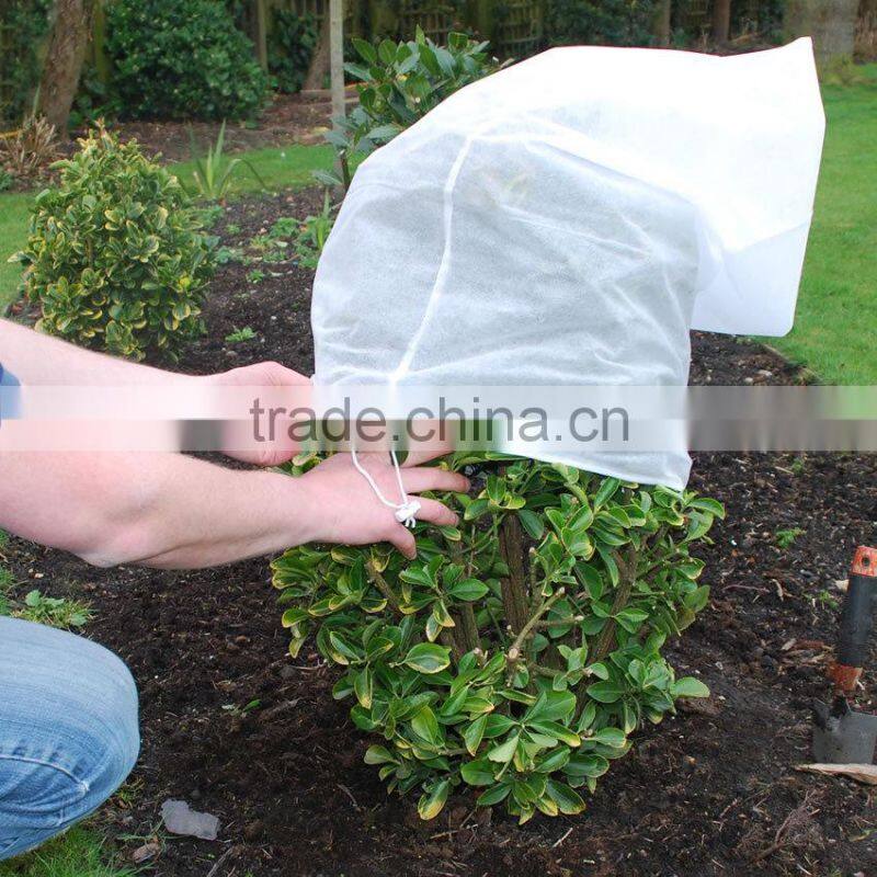 Winter Plant Protection Cover,Plant Protection Bag, Fleece Plants, about 1,20x1,80 winter protection for plants