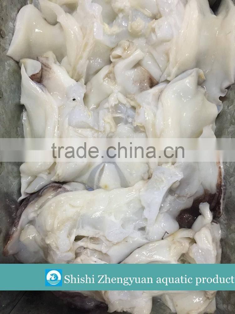 Frozen Giant Peru fillet squid neck Size 500+ on sale