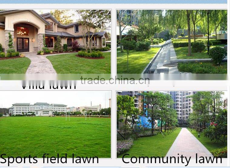 high power rechargeable golf mower with low noise