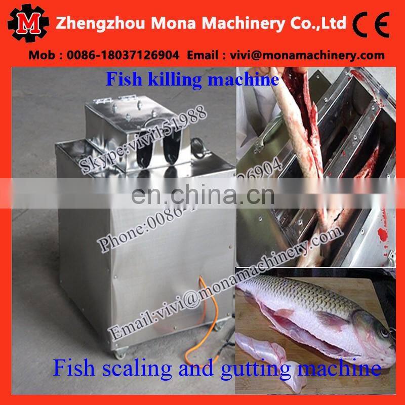 automatic small fish cleaning machine|anchovy fish killer machine|Tilapia gutting machine