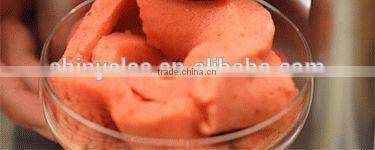 Fruit Frozen Ice Cream Sorbet Maker Healthy Frozen Dessert Maker