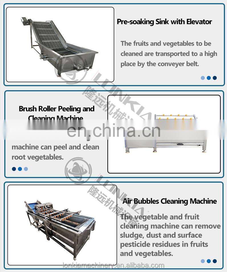 LONKIA Full Automatic Root/ Leafy Vegetables/Fruit/Salad Washing Dehydrator Line Water Bubble Washing with Factory Price