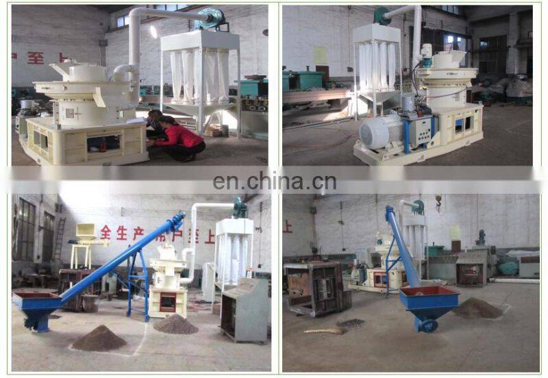 Hot Sale Wood Sawdust Chips Ring Die Wood Pellet Mill