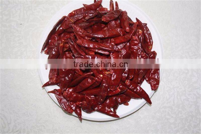 Powder Shape and 100% Pure Dried Garlic Powder