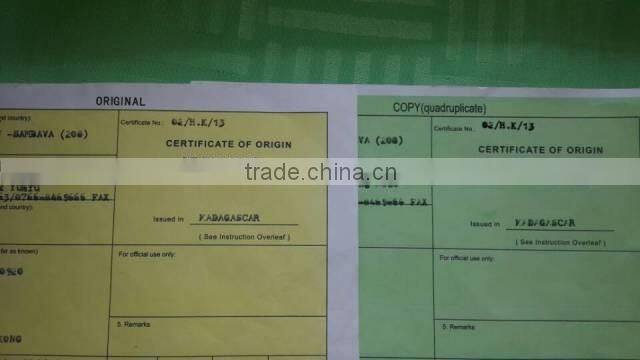 High Class Best Spice Madagascar Vanilla Bean