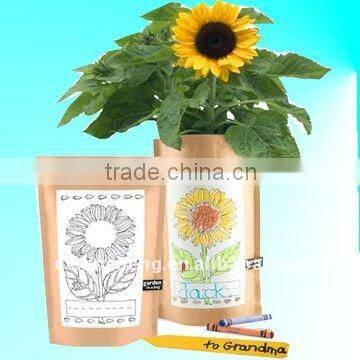 Plastic Lined Stand Up Kraft Paper For Flower Soil