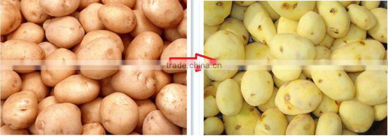MD-15 intustry electric stainless steel Potato Peeler