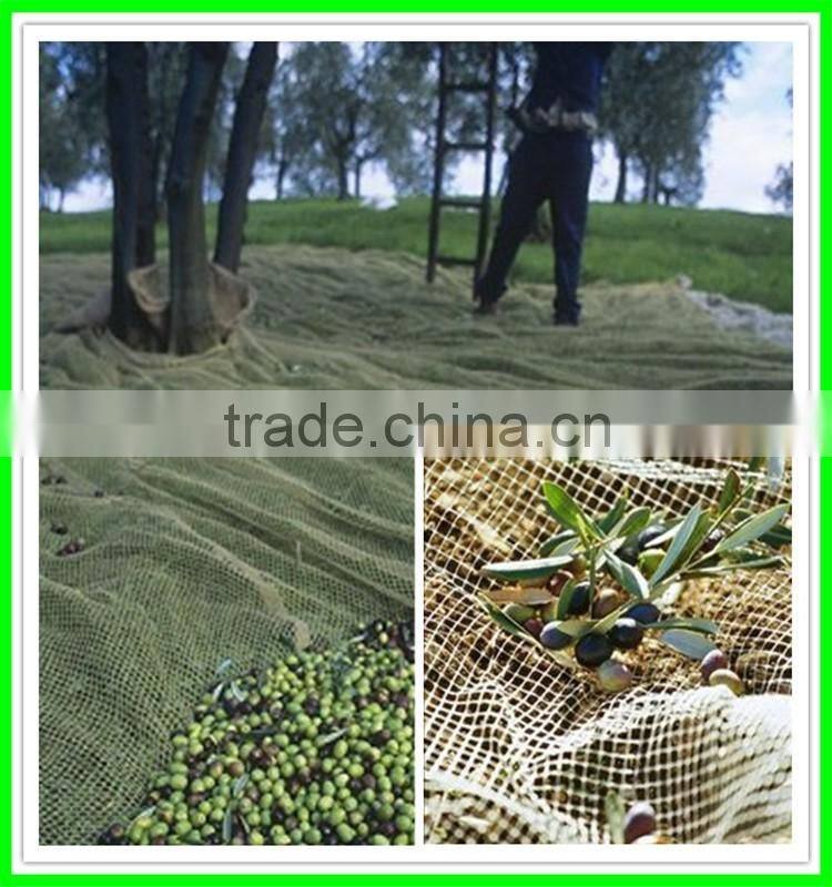 2016 100% virgin HDPE/PE UV added long life span plastic olive harvest nets/olive collection net