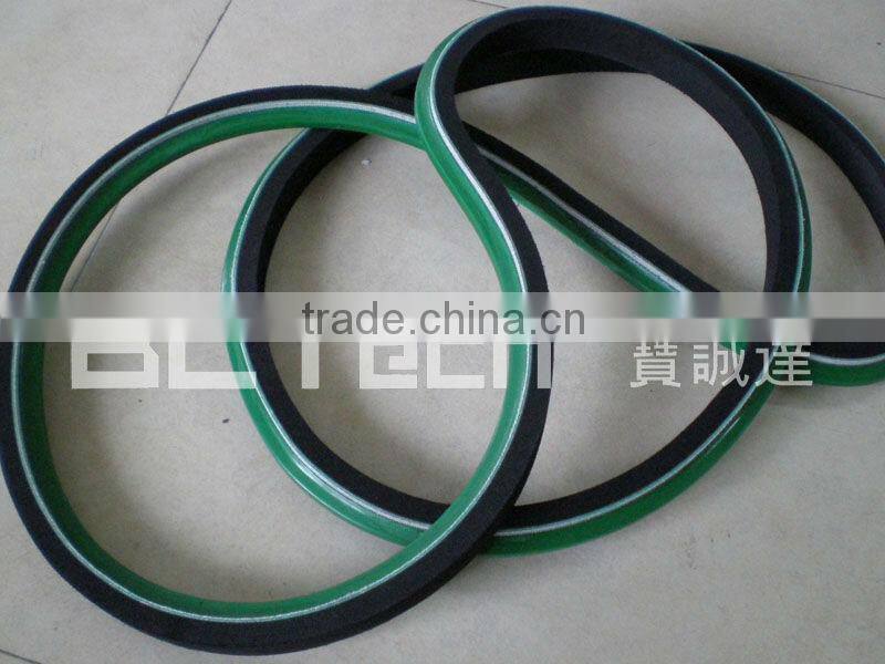 Conveyor Belt coat with Guide Belt & Sponge