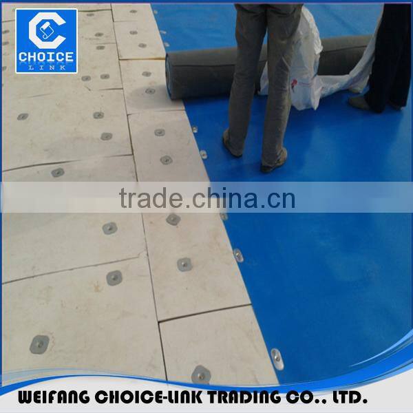 Double color TPO waterproofing membrane