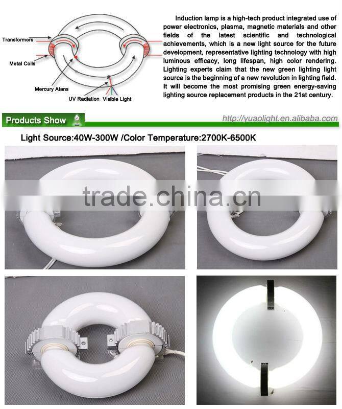 Low Frequency & high frequency induction light resource, electrodeless ballast and bulb 135w, 2700k-6500k