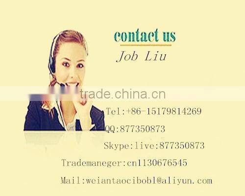 Chinese porcelain wine bottle