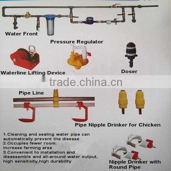 new style automatic chicken feeding system