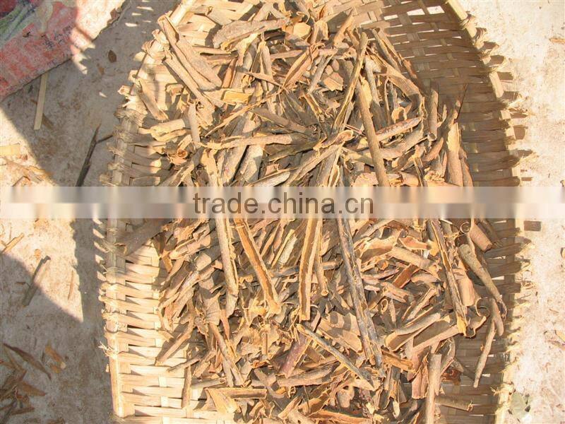 China Brand New Broken Cassia Cinnamon