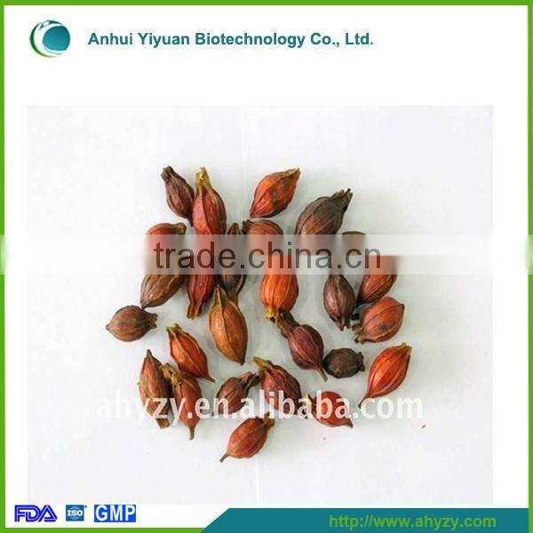 Supply high quality nature Fructus Gardeniae (Zhi zi)