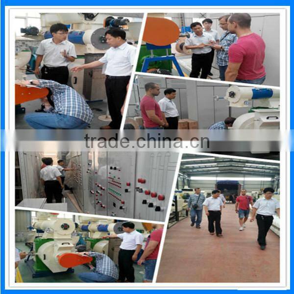 Easy operating large yield long time working poultry peletizer machine
