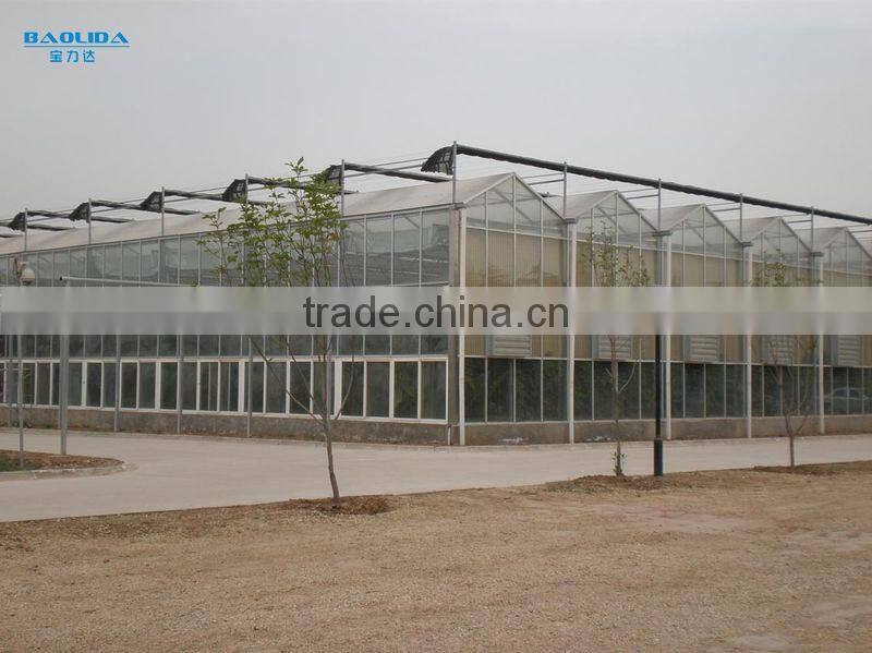 Large Glass Agricultural Greenhouses/Glass Greenhouses Used
