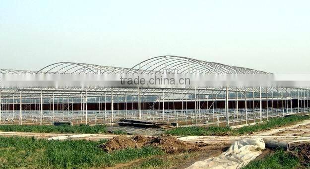 Modern steel structure stabilize greenhouse