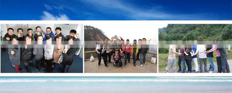 High Quality Carbon Fiber nordic walking stick,carbon trekking pole