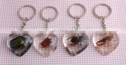Luminous Real Insects Amber Keychain with Scorpion
