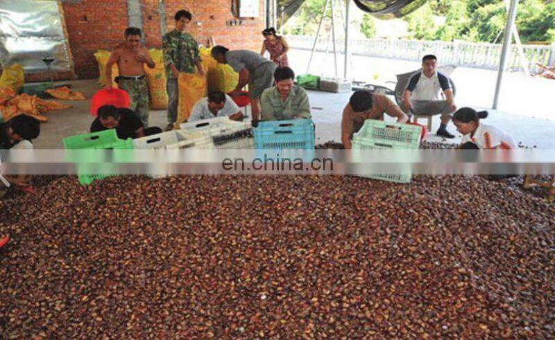 Taizy High efficient chestnut sheller/huller/dehulling machine