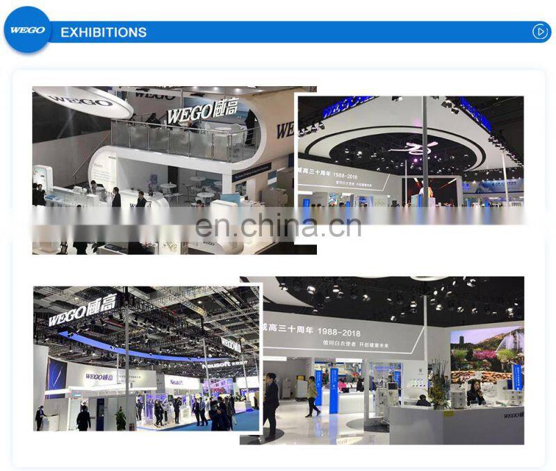 Wego hot product 10L Home Use Medical Portable Oxygen Generator medical oxygen concentrator price