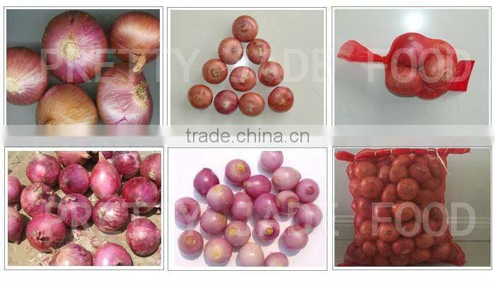 Fresh Red Onion Exporter