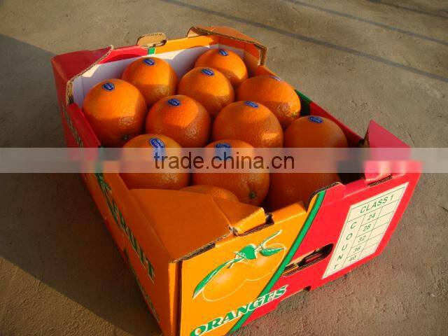 Lovely Baby Mandarin