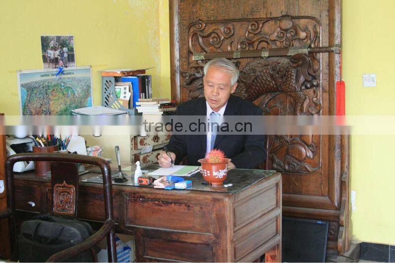 Pottery Horse chinese antique home decor