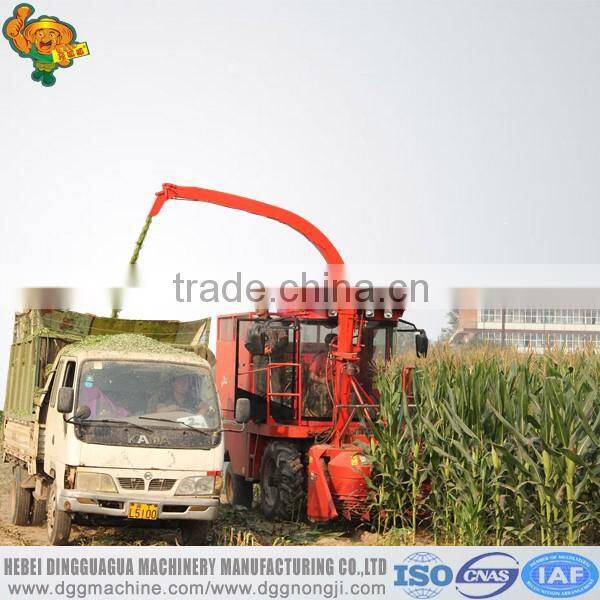 4QZ-1800 Self-propelled Corn silage machinery for sale