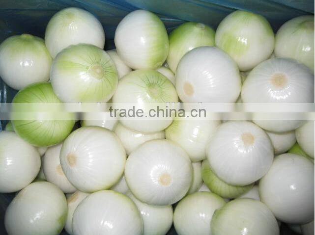 allium cepa onion peeling machine/garlic dry peeling machine