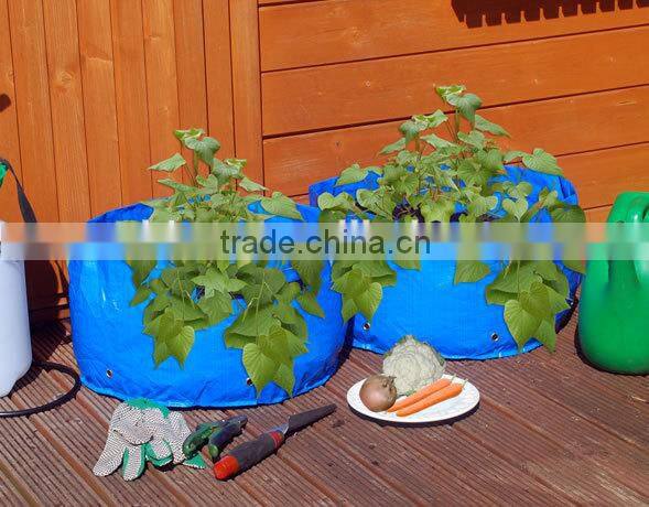 100cm*40cm*22cm PE Vegetable Grow Bags,Recycled Vegetable Growing Bags