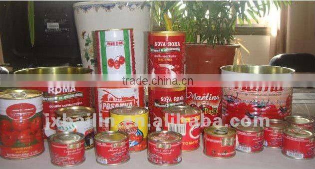 canned tomato paste/ketchup/puree/sauce/concentrate Factory offer OEM service