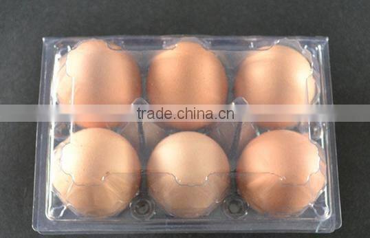 Plastic blister Egg Tray 6 holes