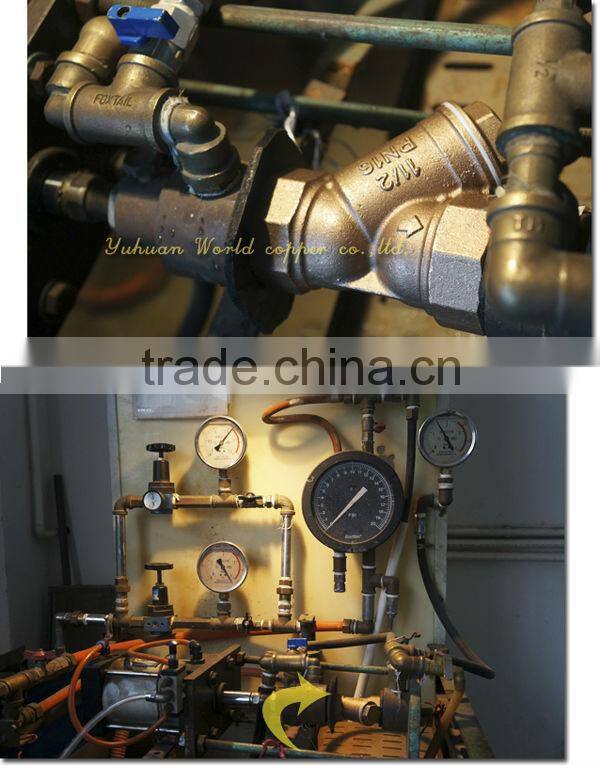 WD-1302-2 Bronze Y-Pattern Strainer Valve Hex Type