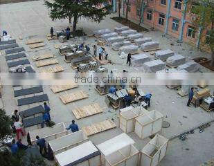 Batch type Crisp JackFruit Microwave Vacuum Drying&Popped Machines