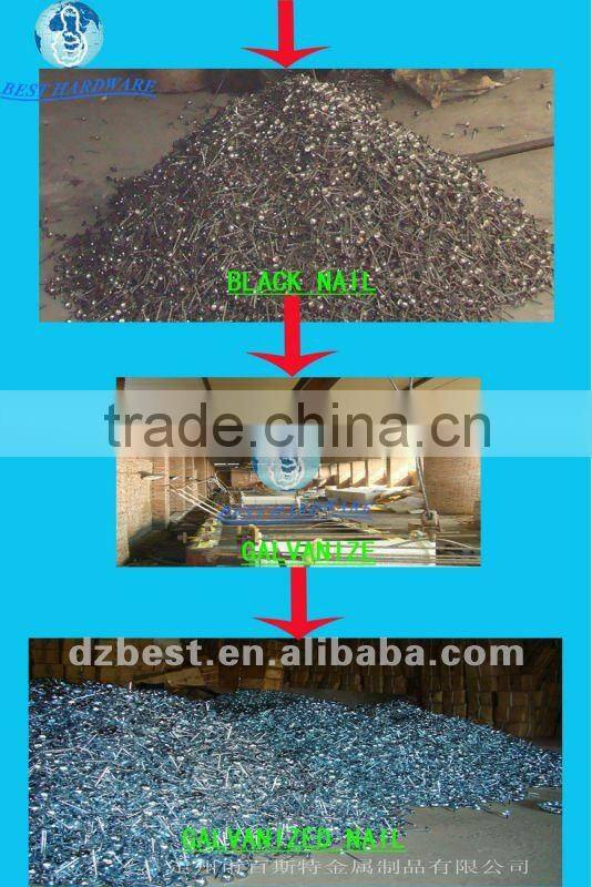 9gauge galvanized umbrella head ring shank roofing nail