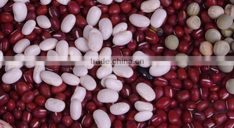 natrual Adzuki bean