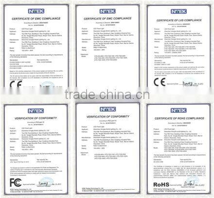 IP66 CE Outdoor LED Flood light