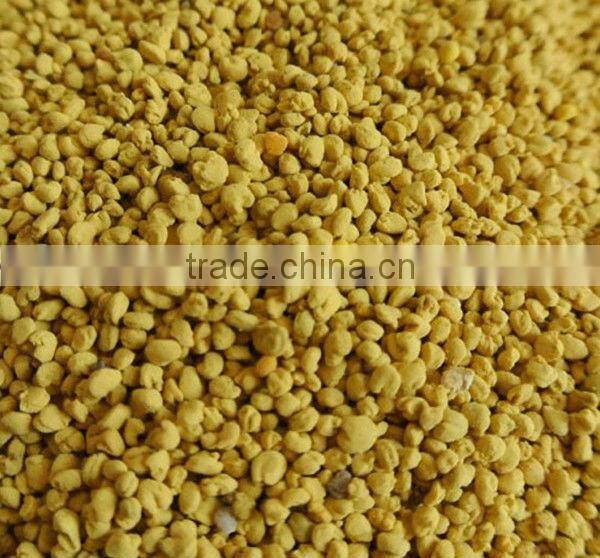 Bee pollen in bulk