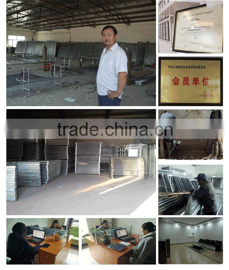 2016 galvanized welded wire mesh