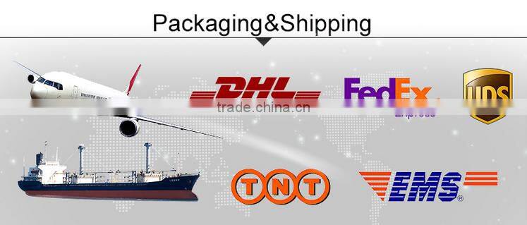 Mini 8.4V DC USB Charger Cable