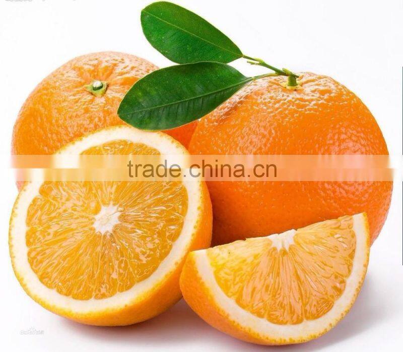 Fresh Gannan Navel Orange, best quality China Navel Orange