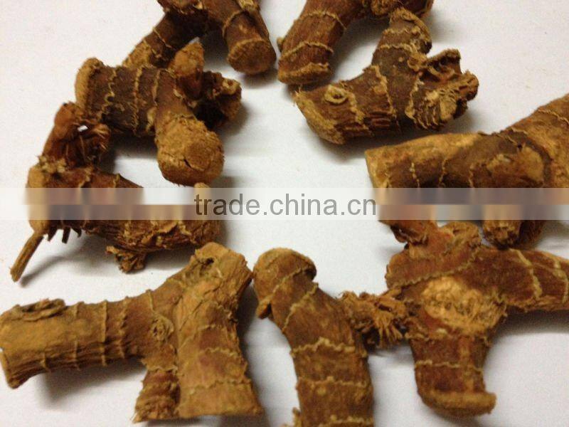 2015 New Crop Galangal Roots