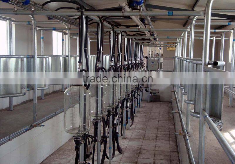 middle-set milking parlor for big farm