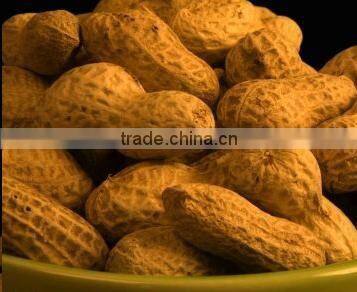 Seaflower type peanut kernel