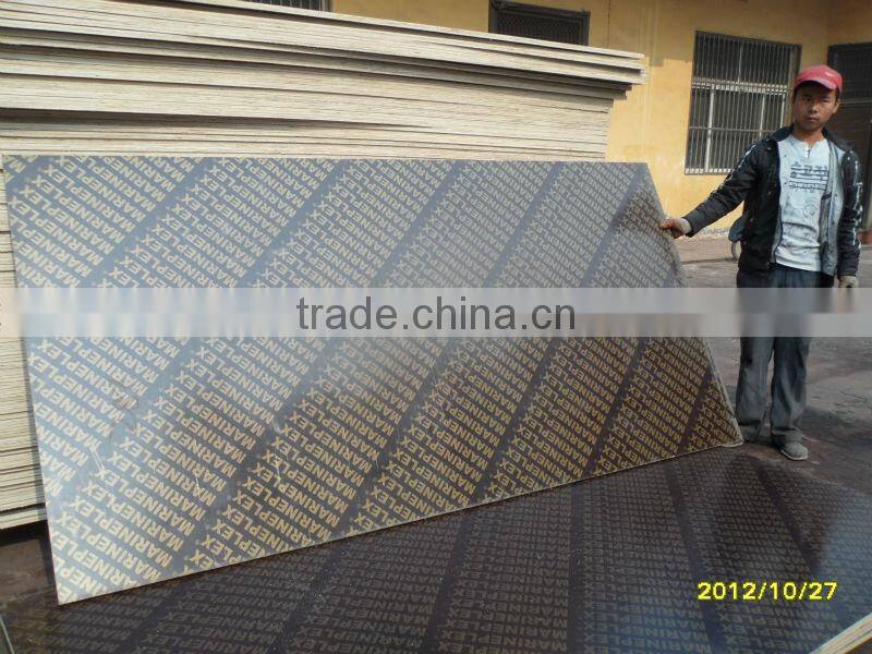 Construction Plywood