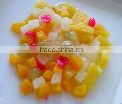 Canned Food Tin Canned Fruit Cocktail in Light Syrup