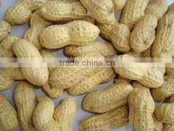 good quality red skin peanut kernels